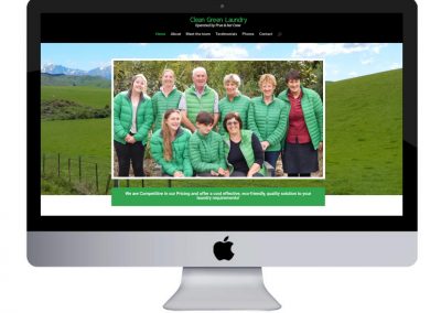 Clean Green Laundry Website Design